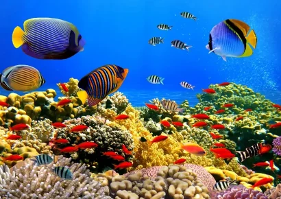 HURGHADA
