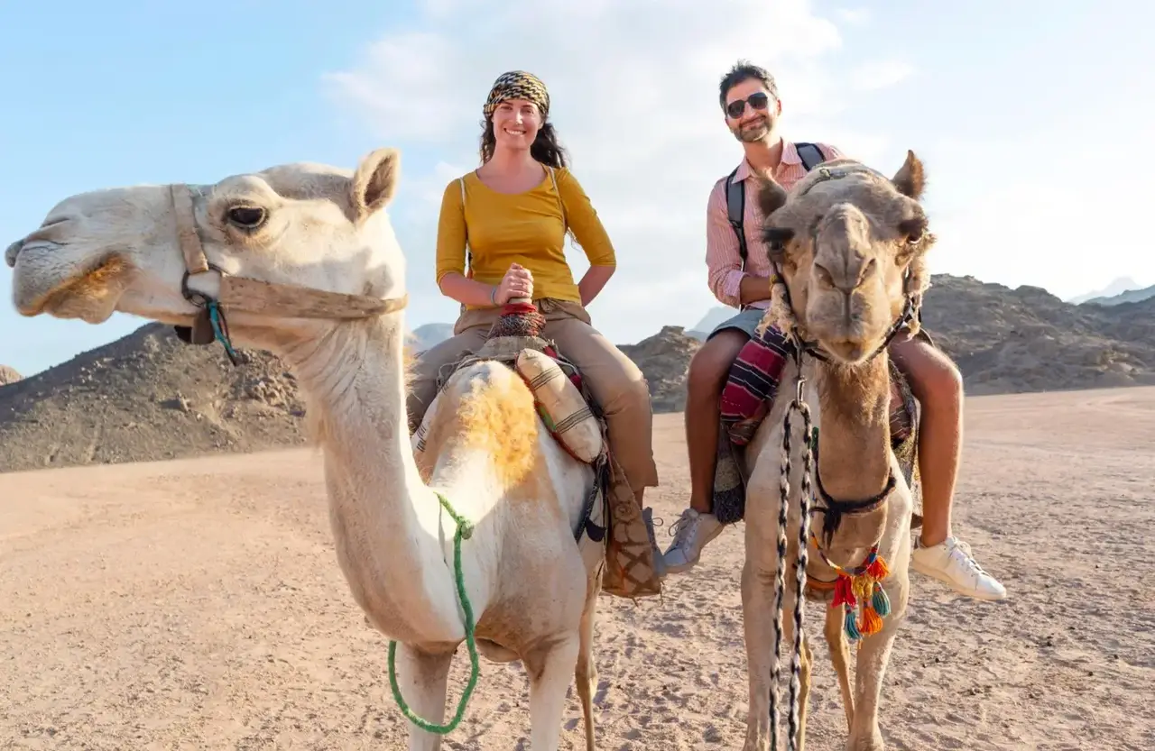Couple sitting on camels in the desert