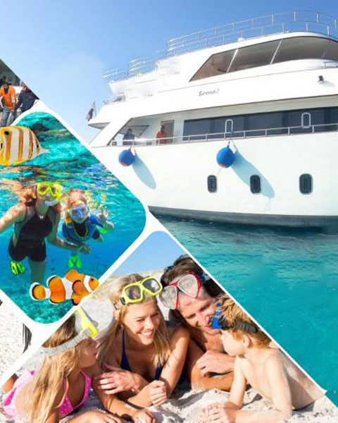 daily diving hurghada boat trip red sea