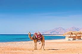 Why Visit Hurghada