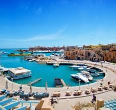 Red Sea coral reef and marine life near El Gouna