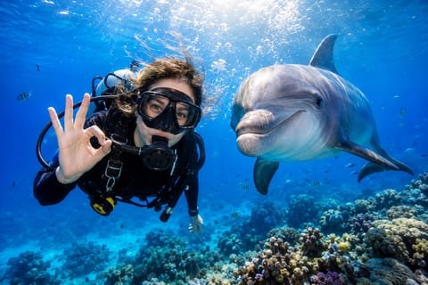 Discover Scuba Diving in Hurghada Egypt