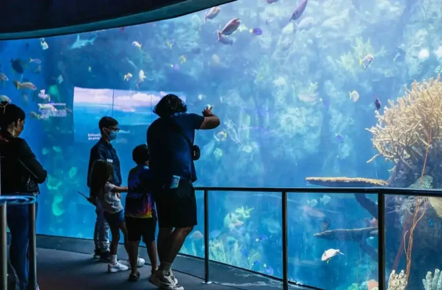 Family looking at fish in a large aquarium tank