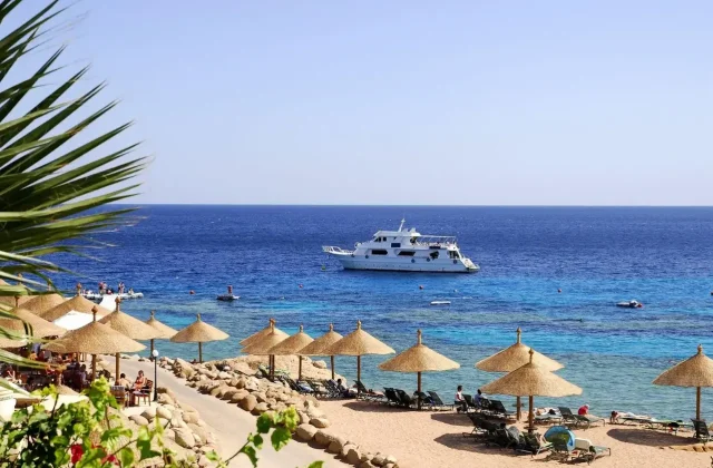 Palm leaves and straw umbrellas on a sandy beach with a white boat on the blue Red Sea
