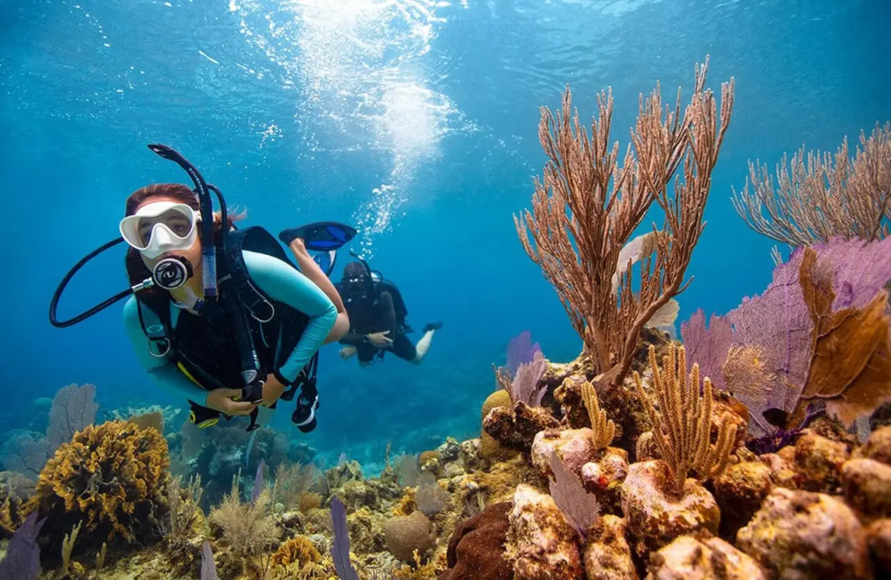 Female diver swimming beside coral