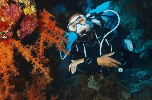 Diver above a colourful coral reef in the Red Sea
