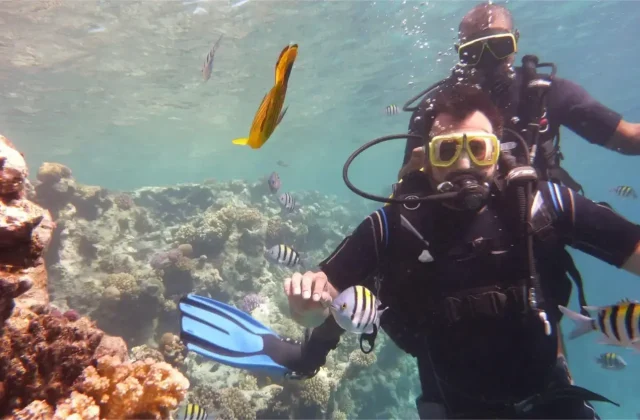 Two divers swimming side by side over coral