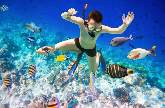 Diver underwater on a reef near Giftun Island