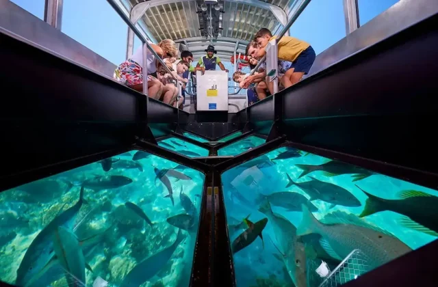 Passengers looking down through the glass floor of a boat at fish over a reef