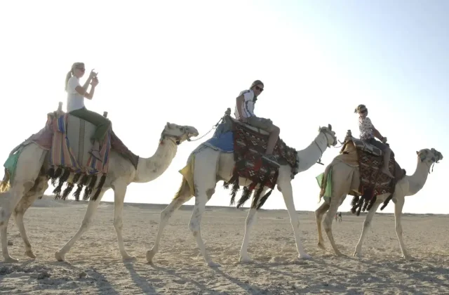 Line of camels with riders crossing the desert
