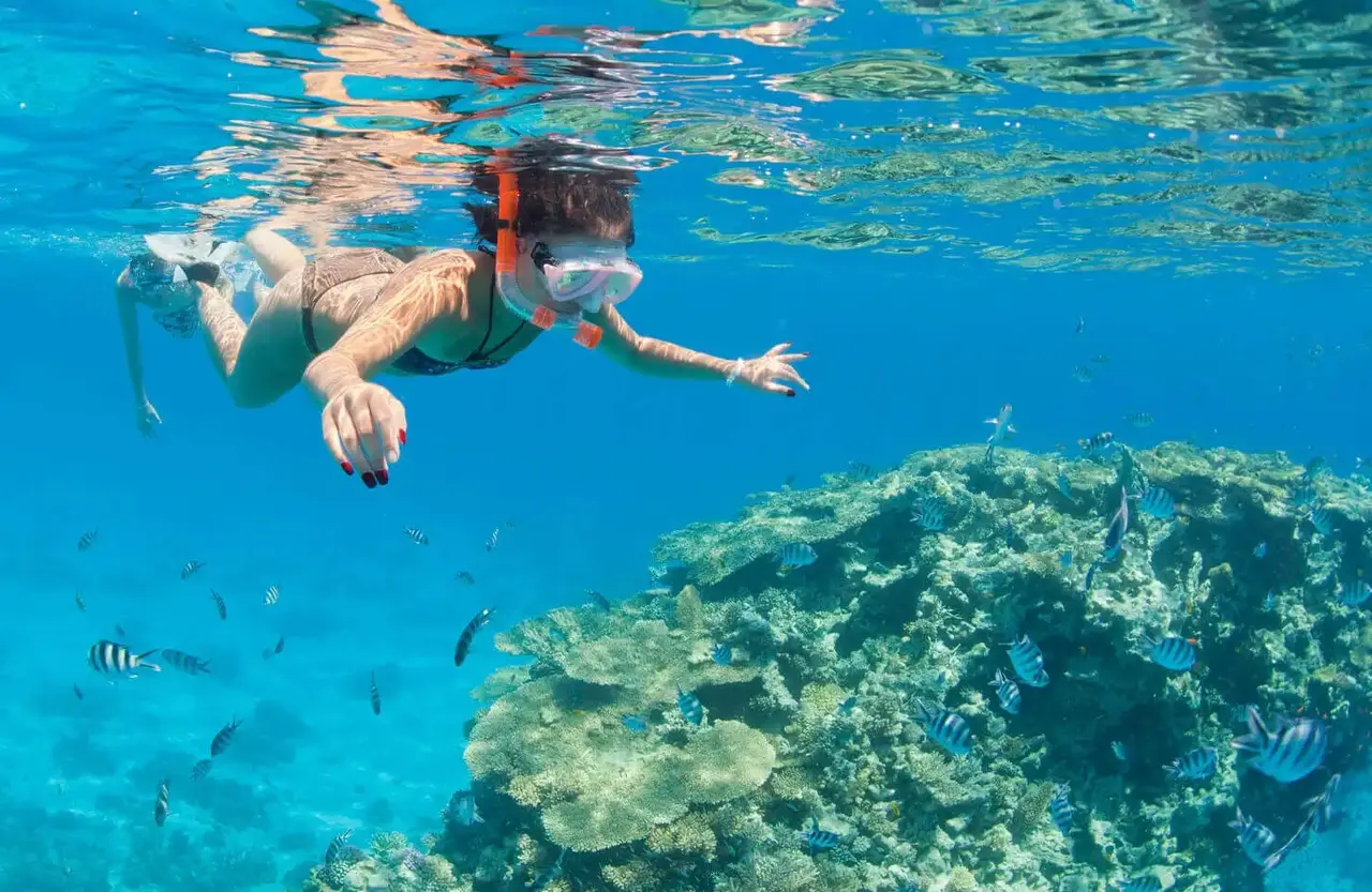 Woman snorkeling at the surface over a Red Sea reef in a rash vest