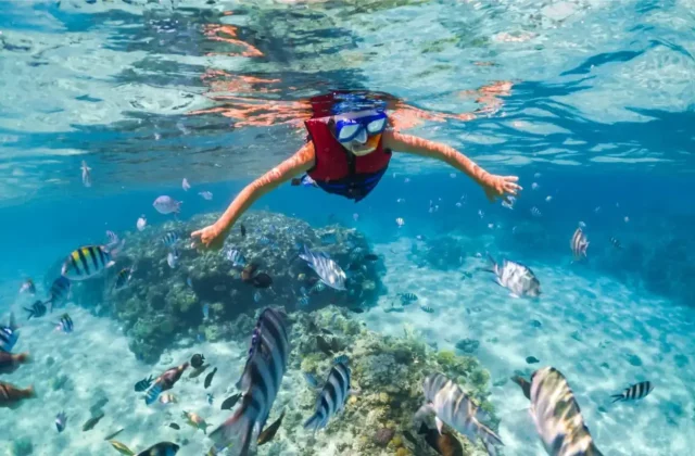 Snorkeler floating above coral and reef fish in the Red Sea off Hurghada