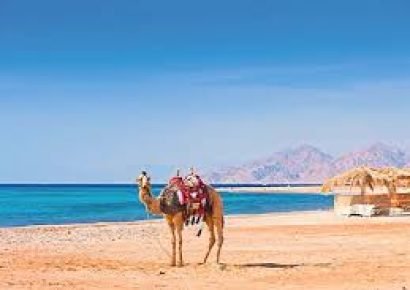 Why Visit Hurghada, Egypt? 10 Reasons to Make Hurghada Your Next Holiday Destination