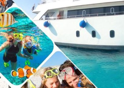 Daily Diving Hurghada – Best Daily Boat Trips, Diving & Snorkeling in the Red Sea