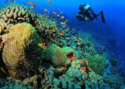 Discover the Best Diving Spots in Hurghada, Egypt